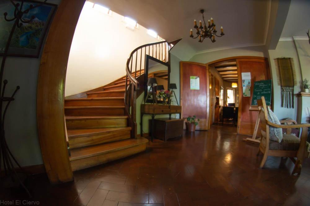 Hotel El Ciervo Villarrica Dış mekan fotoğraf