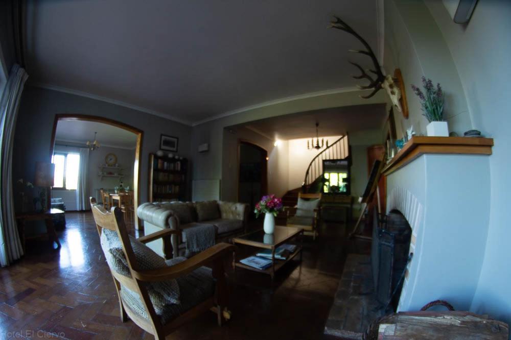 Hotel El Ciervo Villarrica Dış mekan fotoğraf