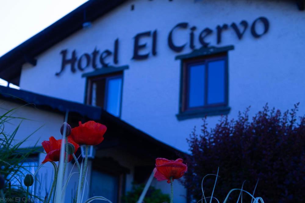 Hotel El Ciervo Villarrica Dış mekan fotoğraf
