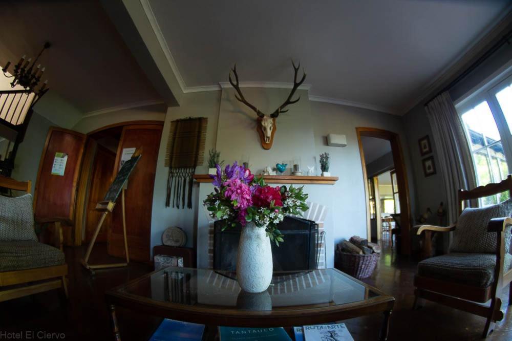 Hotel El Ciervo Villarrica Dış mekan fotoğraf